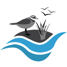 Coastal zone management icon