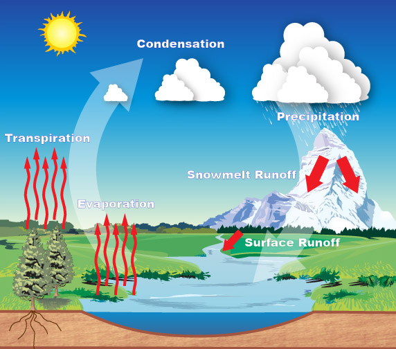 Diagram of Earth's water cycle