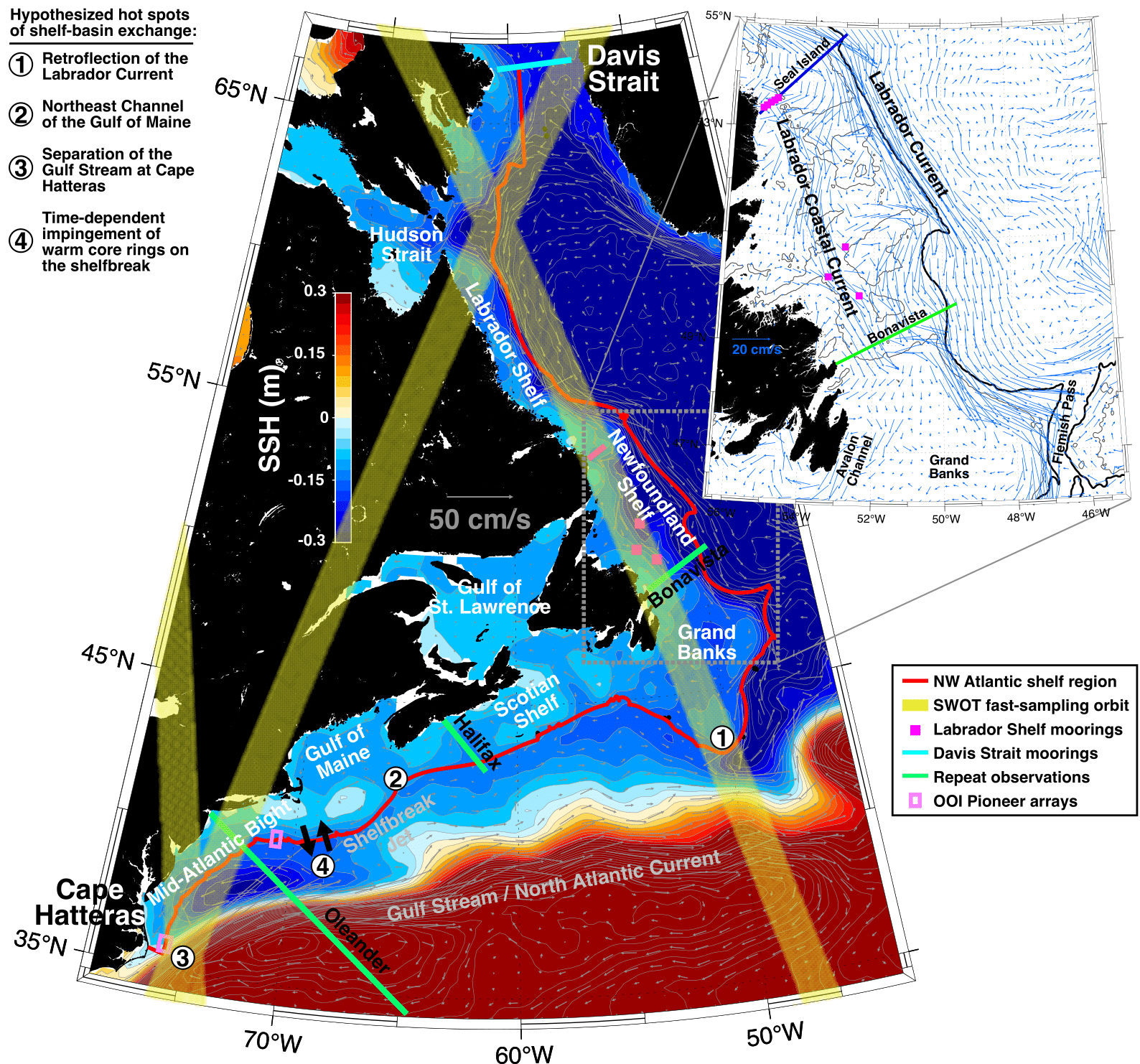 Nicholas Foukal image