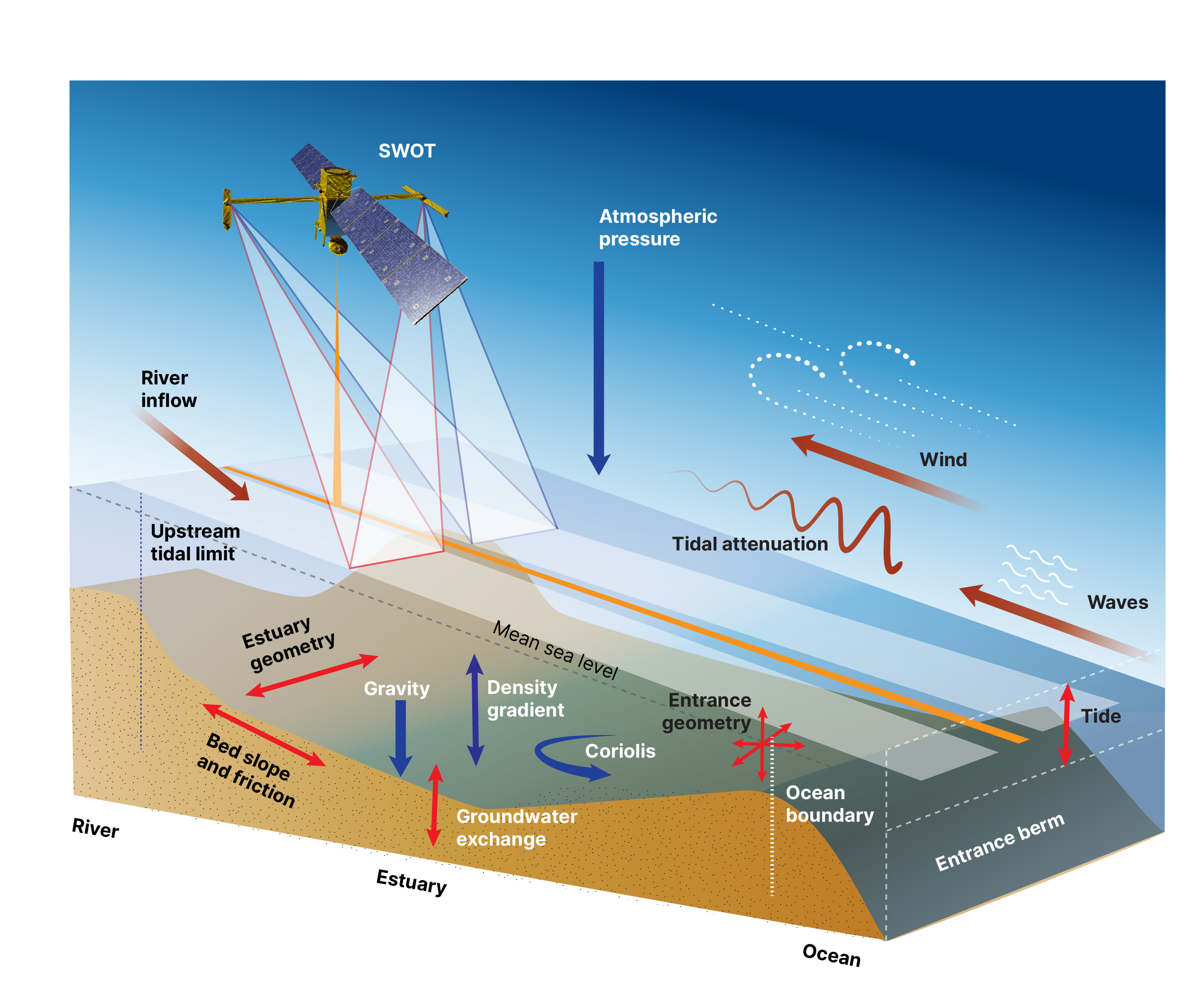 Factors affecting estuarine hydrodynamics and the SWOT mission.