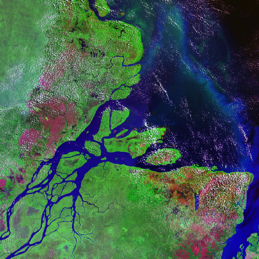 A photograph of the Amazon River Delta, captured by Landsat in 2006.