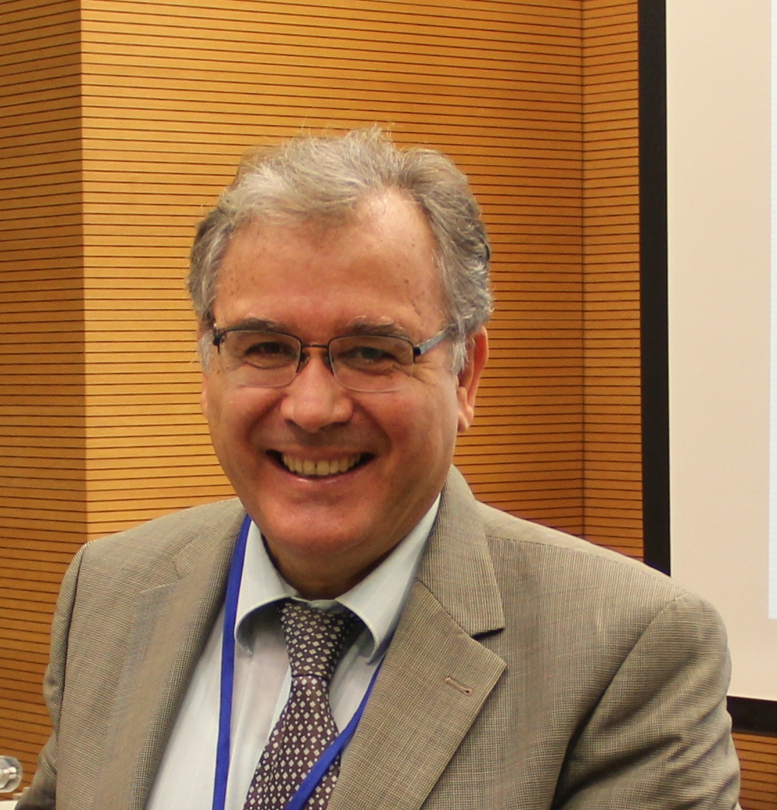Stelios Mertikas
