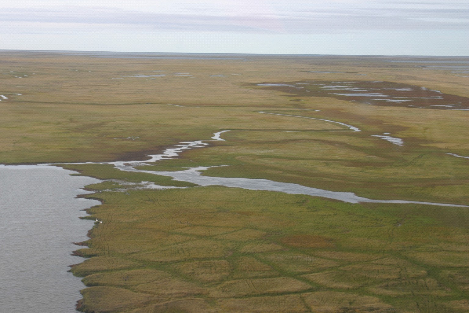 Disappearing Lakes in Barrow, Alaska | NASA SWOT