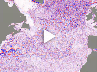 NASA Simulation Shows Ocean Turbulence in the North Atlantic | NASA SWOT